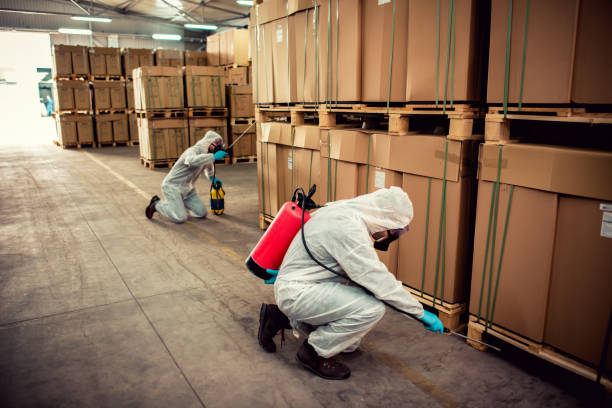 Best Pest Removal Services  in Mount Olive, IL