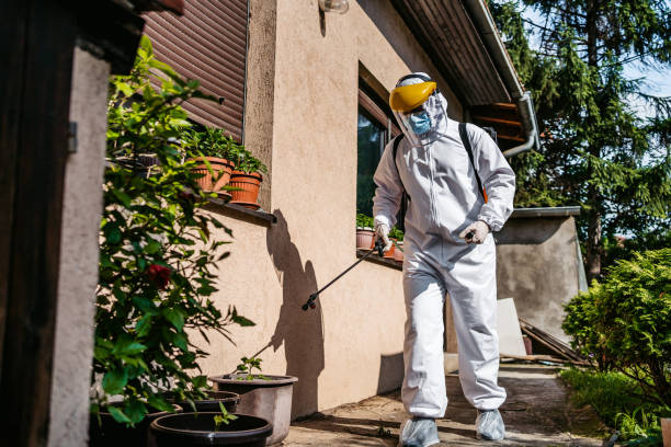 Best Best Pest Control Companies  in Mount Olive, IL