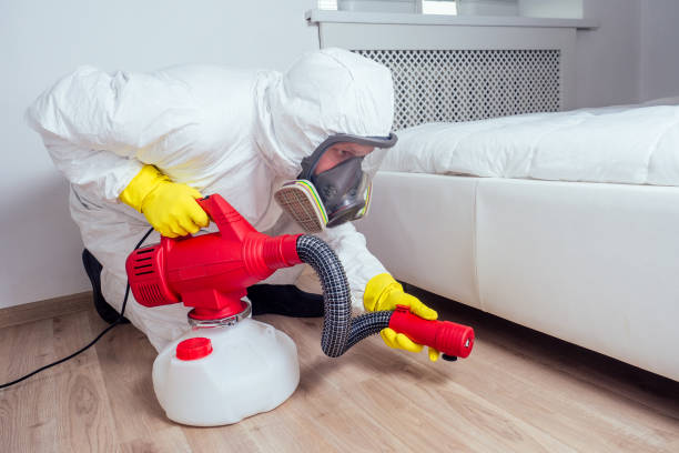 Best Bed Bug Extermination  in Mount Olive, IL