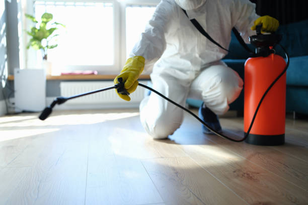 Wasp Removal Services in Mount Olive, IL