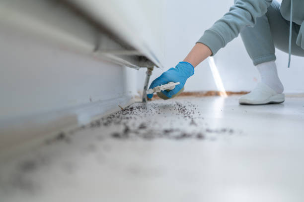 Best Exterminator Services  in Mount Olive, IL