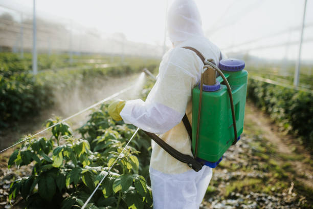 Best Local Pest Control Services  in Mount Olive, IL
